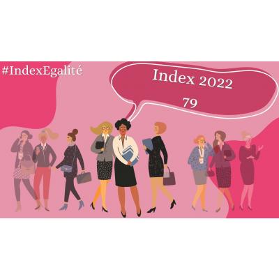 INDEX EGALITE PROFESSIONNELLE d’HABITAT AUDOIS 2023 au titre de 2022